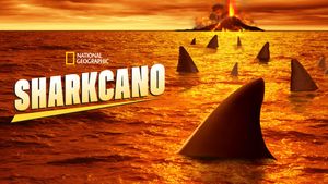 Sharkcano's poster