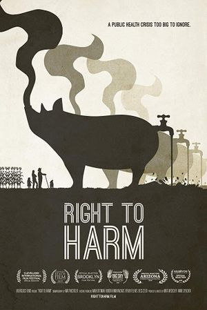 Right to Harm's poster