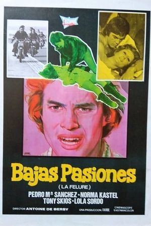 Bajas pasiones (La felure)'s poster