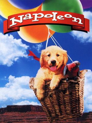 Napoleon's poster