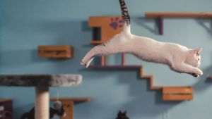 Inside the Mind of a Cat's poster