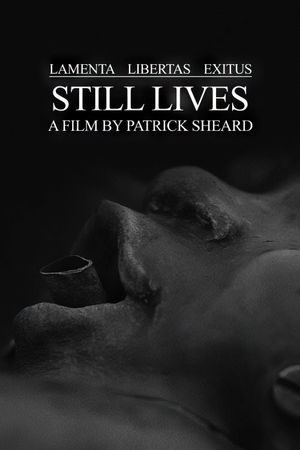 Still Lives's poster