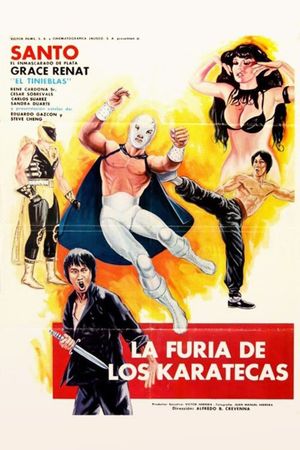 The Fury of the Karate Experts's poster