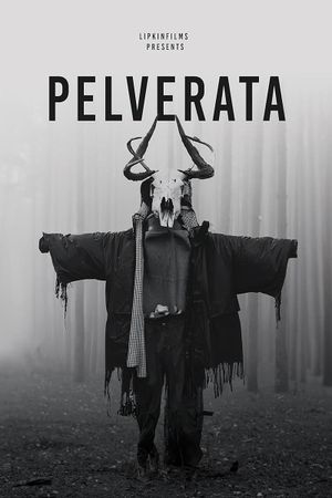 Pelverata's poster