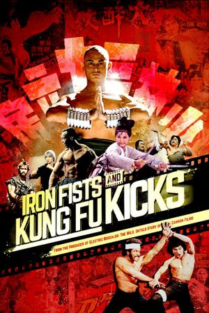 Iron Fists and Kung Fu Kicks's poster