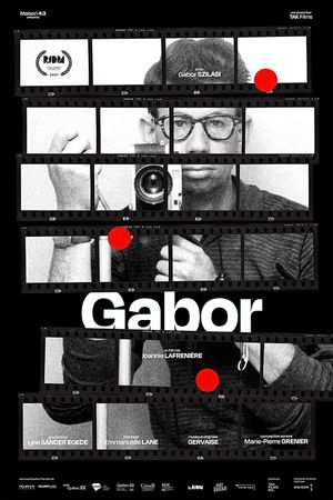 Gabor's poster