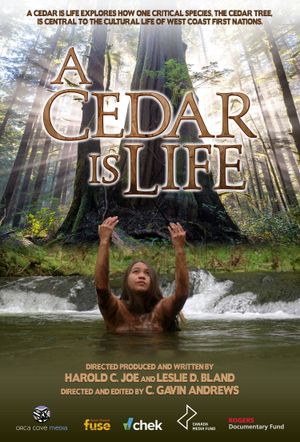 A Cedar Is Life's poster