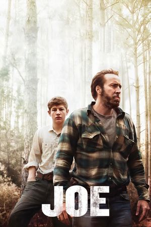 Joe's poster