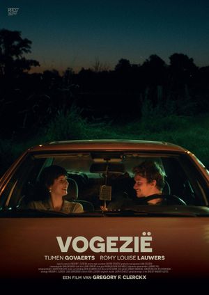 Vosnia's poster