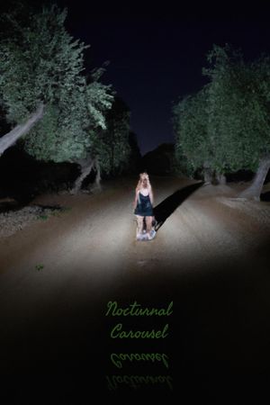 Nocturnal Carousel's poster image