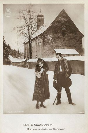 Romeo and Juliet in the Snow's poster