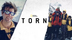 Torn's poster