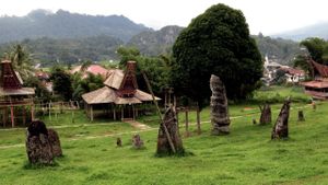 Sulawesi, expédition au coeur de l'île mystère's poster