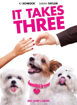 It Takes Three's poster