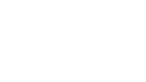 An Oprah Special: Shame, Blame and the Weight Loss Revolution's poster
