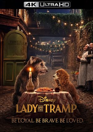 Lady and the Tramp's poster