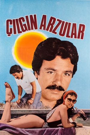 Çilgin Arzular's poster
