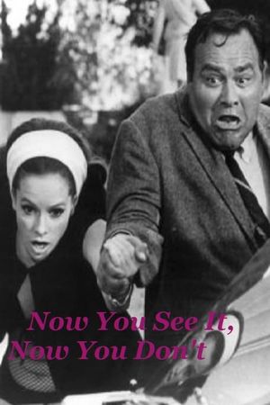 Now You See It, Now You Don't's poster