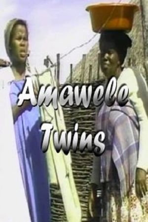Twins's poster