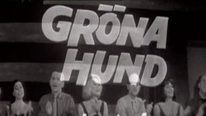 Gröna Hund's poster