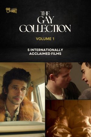 The Gay Collection | Volume I | Presented by Shortz!'s poster