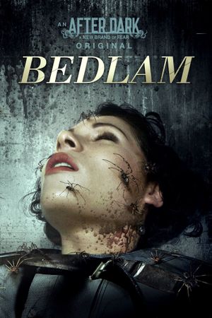 Bedlam's poster