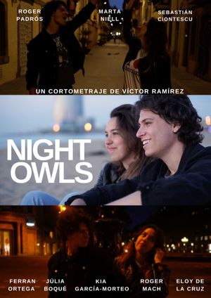 Night Owls's poster