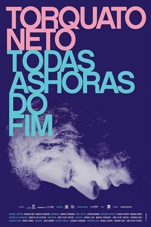 Torquato Neto - Todas as horas do fim's poster