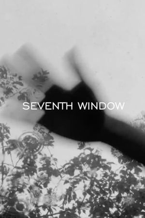 SEVENTH WINDOW's poster