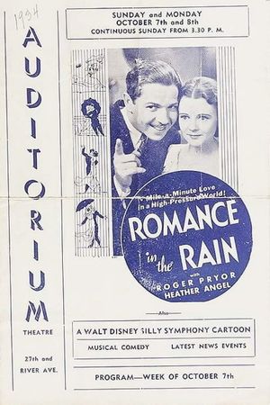 Romance in the Rain's poster image