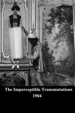 The Imperceptible Transmutations's poster
