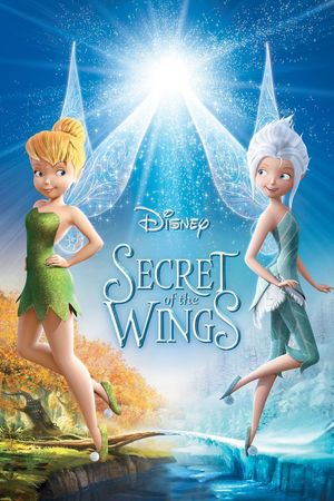 Secret of the Wings's poster