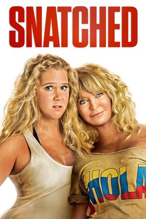 Snatched's poster