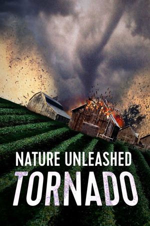 Nature Unleashed: Tornado's poster