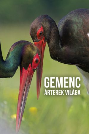 Gemenc - Árterek világa's poster