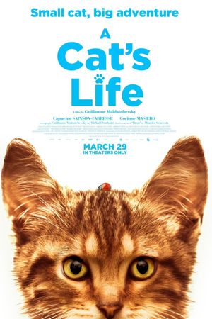A Cat's Life's poster