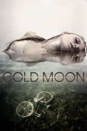 Cold Moon's poster