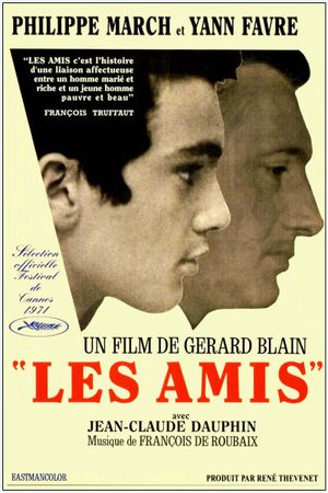 The Friends's poster