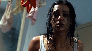 Martyrs's poster
