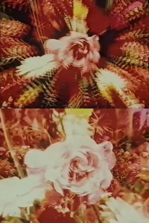 Contemplation of the Rose's poster