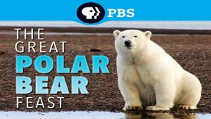 The Great Polar Bear Feast's poster