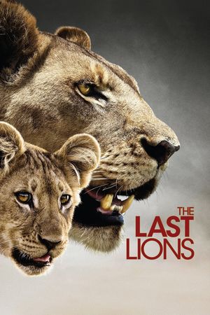 The Last Lions's poster image