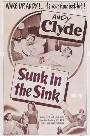 Sunk in the Sink's poster