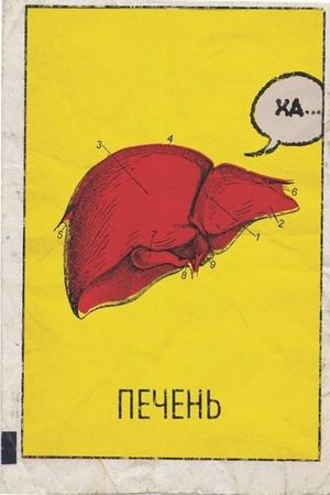 Liver, or Story of a Startup's poster