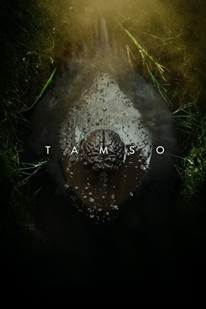 Tamso's poster