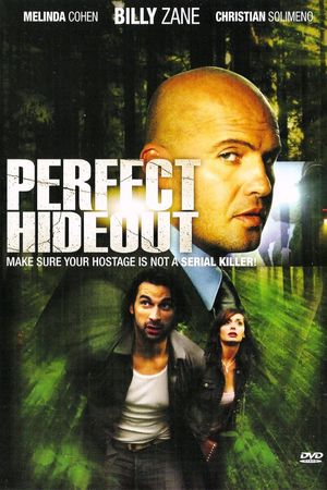 Perfect Hideout's poster