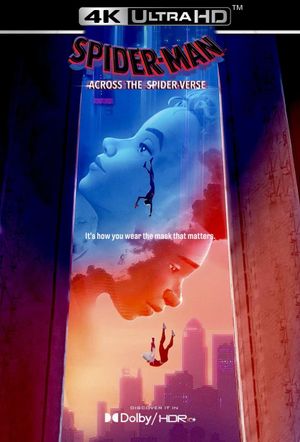 Spider-Man: Across the Spider-Verse's poster