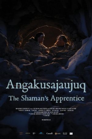 The Shaman's Apprentice's poster