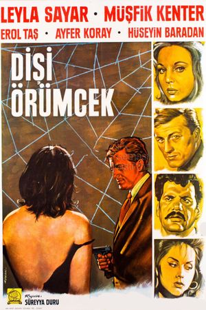 Disi örümcek's poster