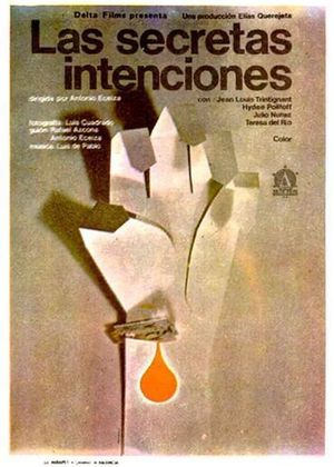 Secret Intentions's poster